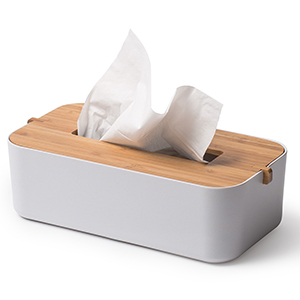 Zen Tissue Box